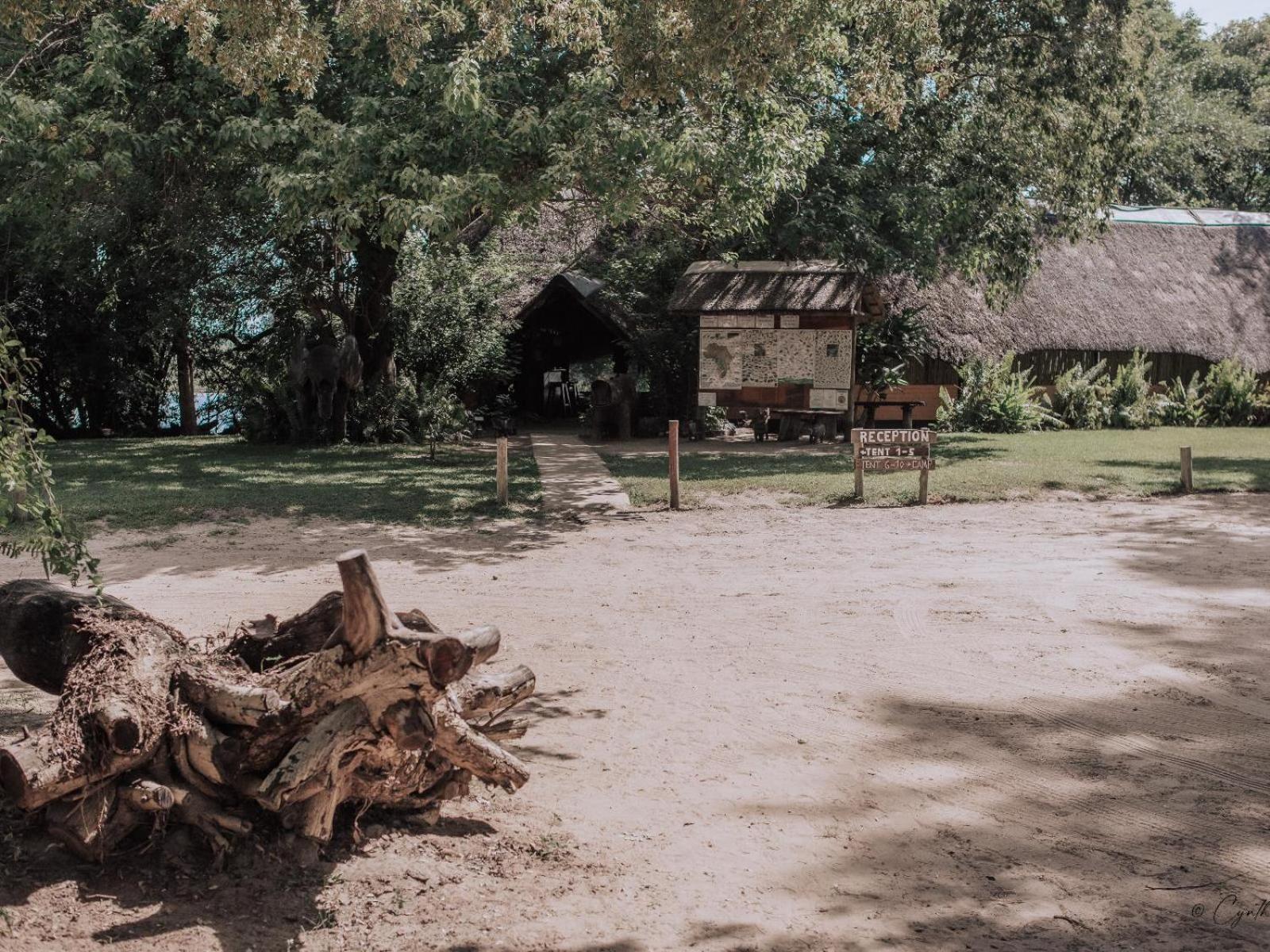 Ndhovu Safari Lodge Mahango المظهر الخارجي الصورة